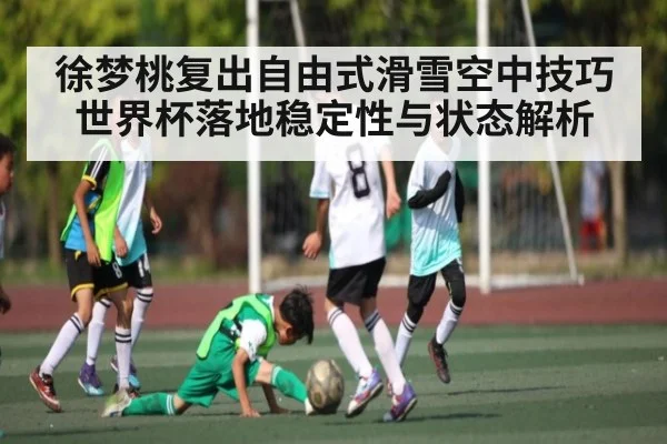 徐梦桃复出自由式滑雪空中技巧世界杯落地稳定性与状态解析 | kaiyun